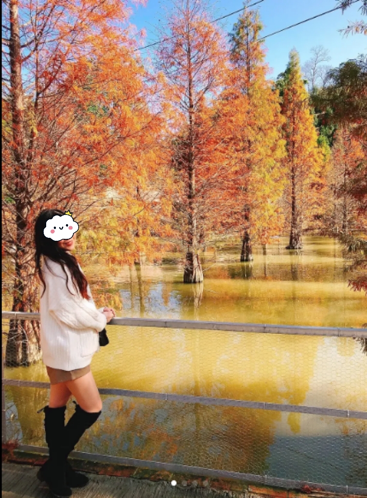 多肉植物|愛在蔓延時